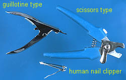 nail-clippers