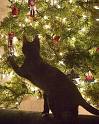 christmas-tree-2-and-cats