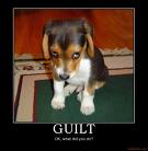 guilty-dog