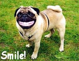 dog-smiling