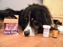 dog-with-meds