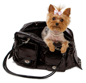 Yorkshore Terrier in a Black Travel Bag