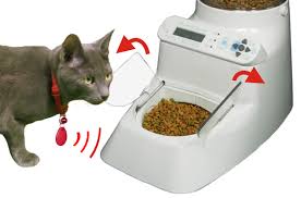 automatc feeder