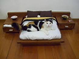 cool cat bed