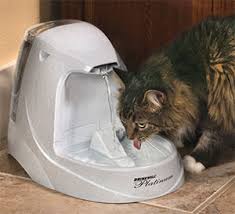 catwaterfountain