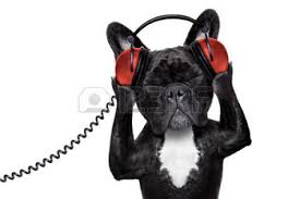 dogheadphones