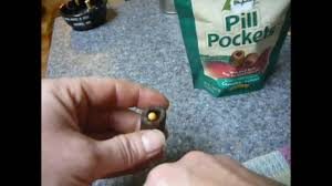 greenie pill cpocket