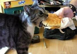 catburger